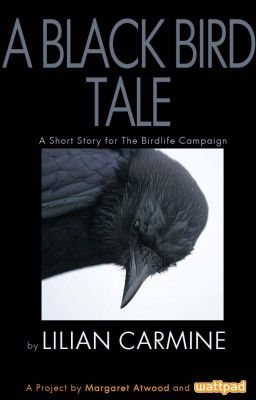 A Black Bird's Tale