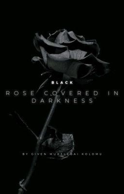 A BLACK ROSE COVERED IN DARKNESS 