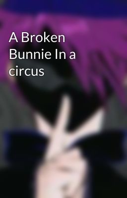 A Broken Bunnie In a circus