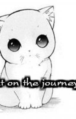 A cat on the Journey