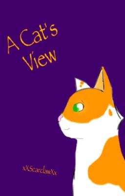 A Cat's View ***BEING REWRITTEN***