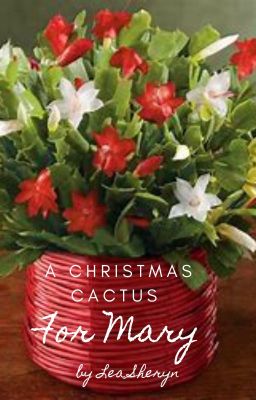 A Christmas Cactus for Mary