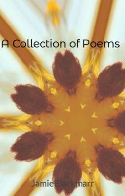 A Collection of Poems