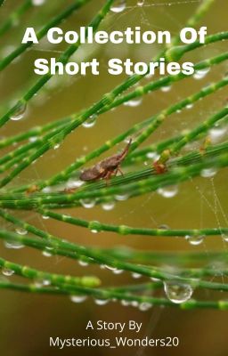 A Collection Of Short Stories