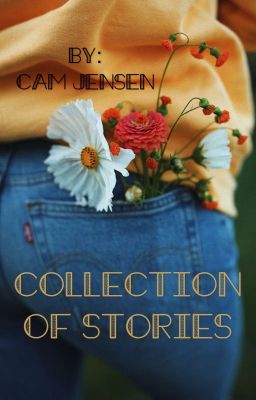 A Collection Of Stories 