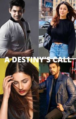 A DESTINY'S CALL💙💙❤❣