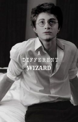 A Different Wizard (Harry Potter x Reader)