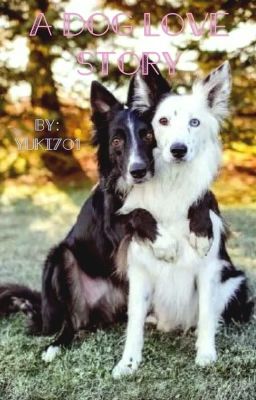 A Dog Love Story {Animal Love Stories Book 2}