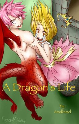 A Dragon's Life