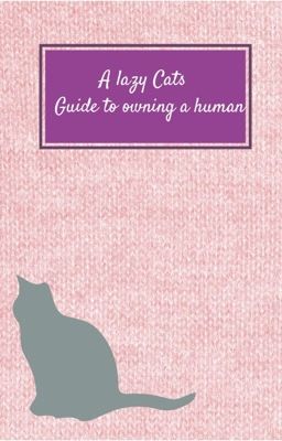 A lazy cats guide to owning a humans 