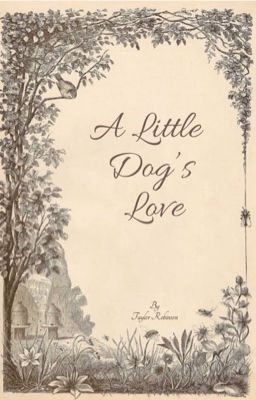 A Little Dog's Love