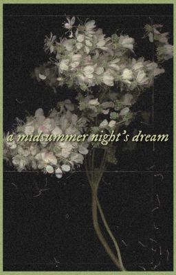 A Midsummer Night's Dream ✸ P.J.O