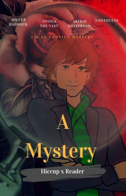 A Mystery ( Hiccup X Reader) 