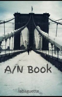 A/N Book