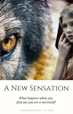 A New Sensation - Book 1