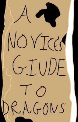 A novice's guide to dragons