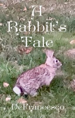 A Rabbit's Tale