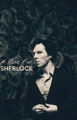 A Rose for Sherlock - (Uncompleted ;-;)