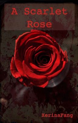 A Scarlet Rose