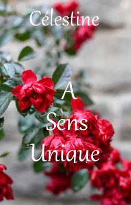 A Sens Unique