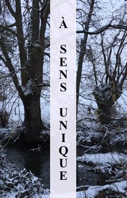 À sens unique - Série d'OS