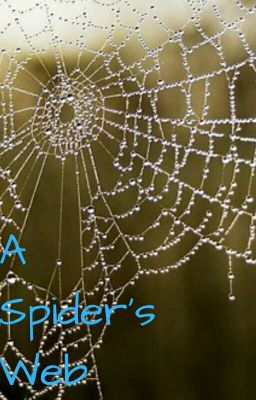 A Spider's Web