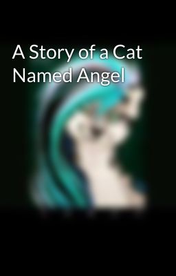 A Story of a Cat Named Angel