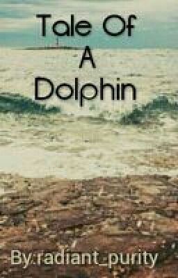 A tale of a Dolphin (On Hold)