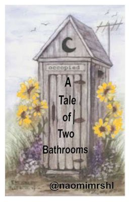 A Tale of Two Bathrooms