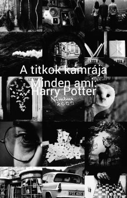 A titkok kamrája; Minden ami: Harry Potter