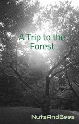 A Trip to the Forest