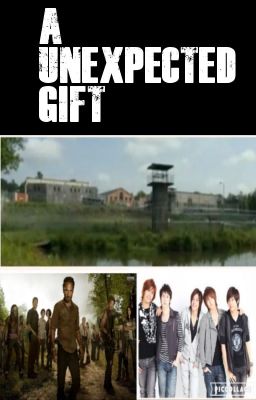 A unexpected gift (A ss501 fanfiction)