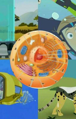 A Wild Kratts Cell-Tacular Adventure