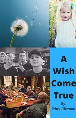 A wish come true (Completed)