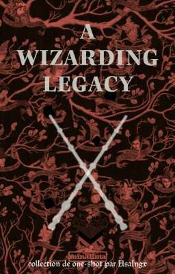 A wizarding legacy [Potterfiction]