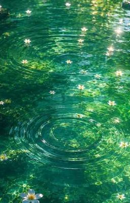 Aaaa