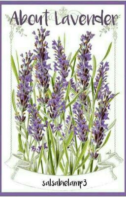 About Lavender