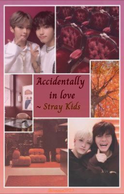 Accidentally in love ~ Stray Kids