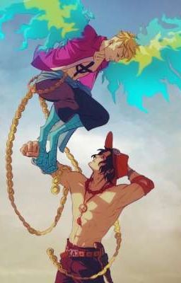 ace x marco