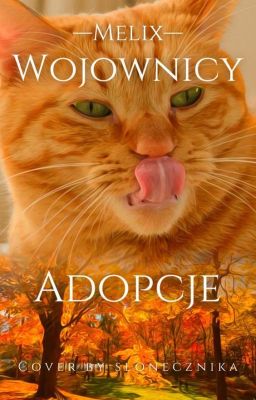 Adopcje Wojownicy ^^