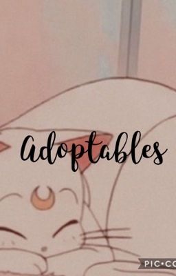 Adoptables! 