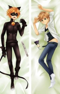 Adrien agreste body pillow x reader