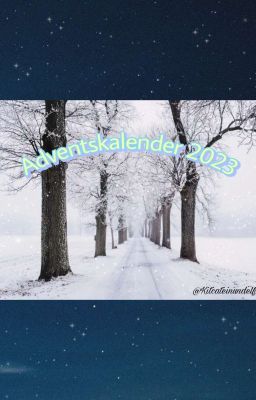 ✨Adventskalender 2023✨