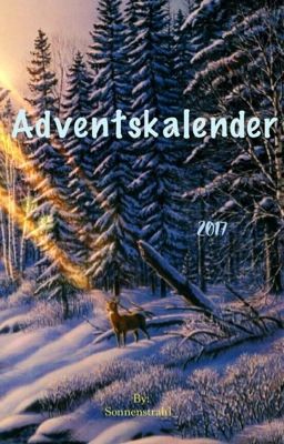 Adventskalender (Buch)