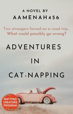 Adventures in Cat-Napping