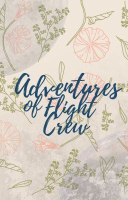 Adventures of Flight Crew