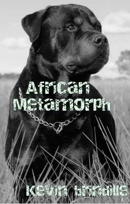 African Metamorph 