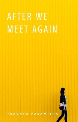 AFTER WE MEET AGAIN - REPOST