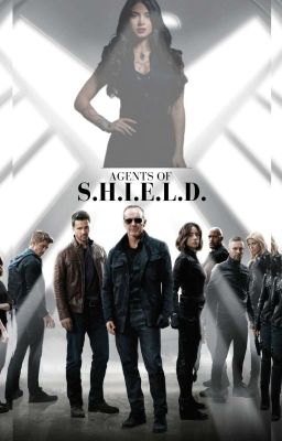 agentes da s.h.i.e.l.d da MARVEL 