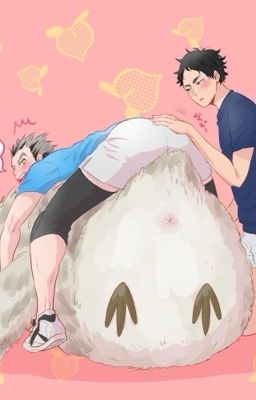 [AkaBoku - Haikyuu!] 🦉những mẩu chuyện nhỏ xíu🤡